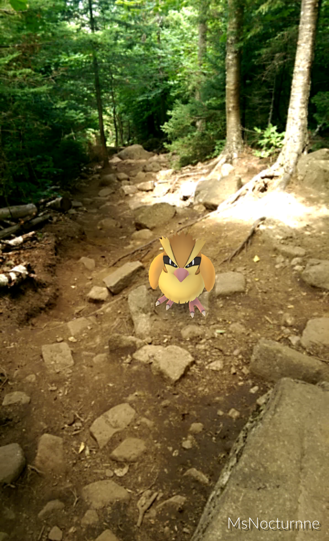 IMG_2016-08-07-12015516