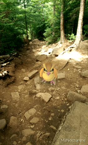 IMG_2016-08-07-12015516