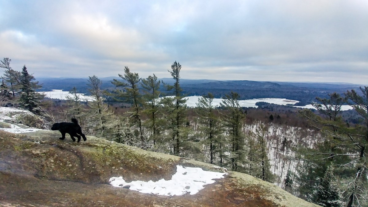 Bald (Rondaxe) Mountain